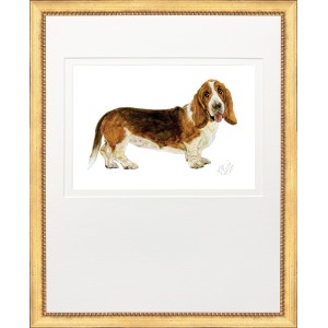 KS- HUNTING DOG 9